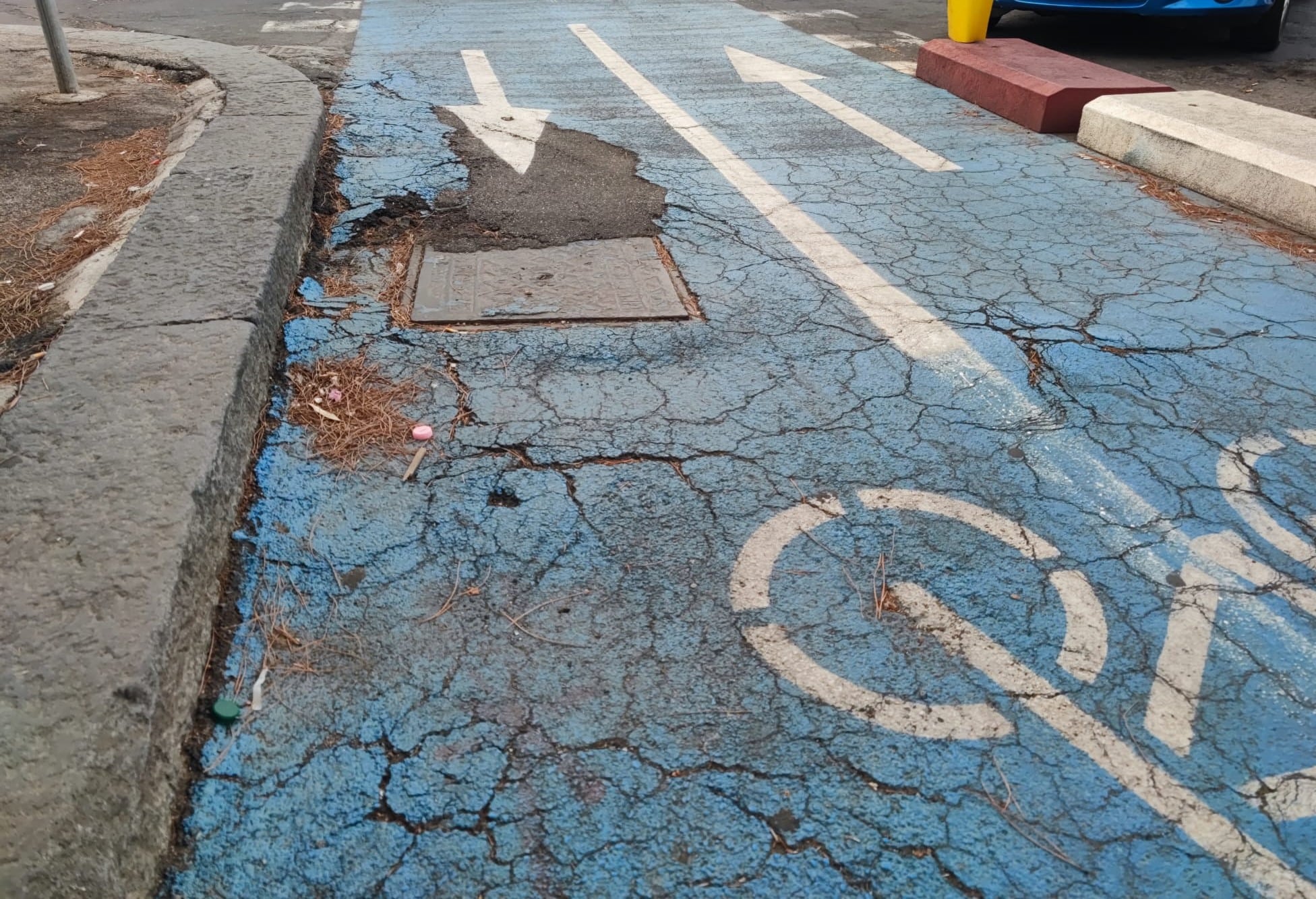 Pista ciclabile lungomare Catania, tra cordoli danneggiati e invasioni di scooter. Cardello: “Un percorso a ostacoli”