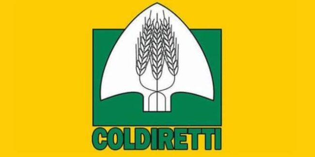 “Dai polli ai supermercati un business da 24,5 miliardi di euro per la malavita”: la denuncia di Coldiretti