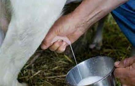 Agricoltura in Sicilia, domande aiuti crisi a coltivatori e produttori latte: proroga al 31 ottobre