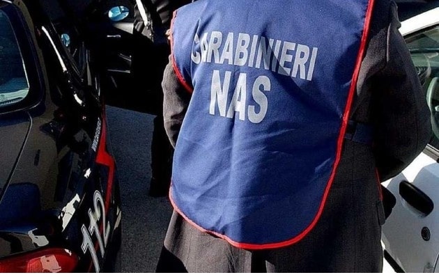 Controlli nel settore della ristorazione: sequestrati 25 chilogrammi di prodotti, sanzioni salatissime