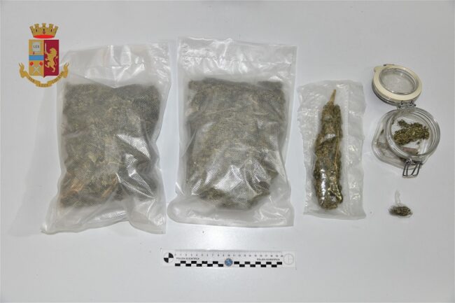 Servizi antidroga, pusher 32enne nascondeva marijuana in ogni dove: in manette