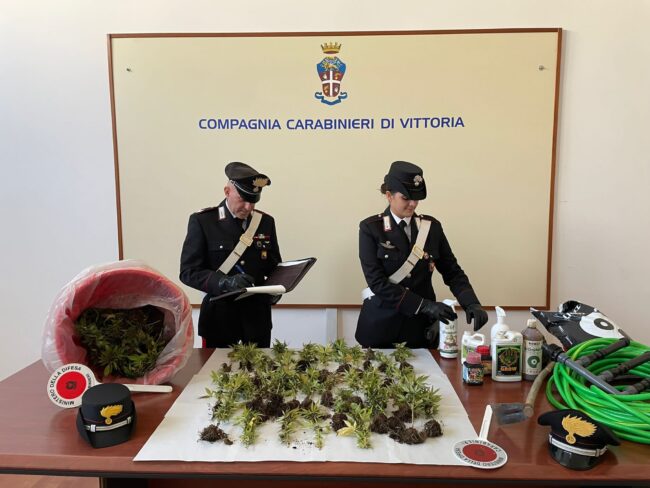 Scovata e sequestrata una piantagione di marijuana: in manette due giovani