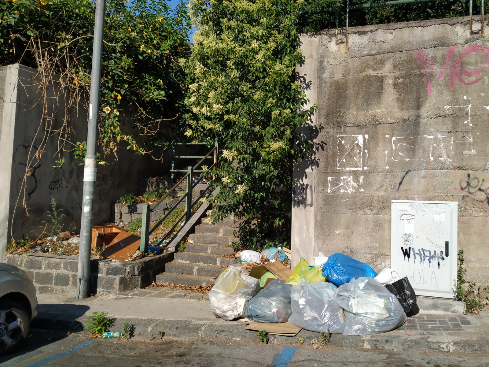 SOS intervento: degrado, abbandono, sporcizia e assenza di manutenzione nel quartiere Borgo-Sanzio