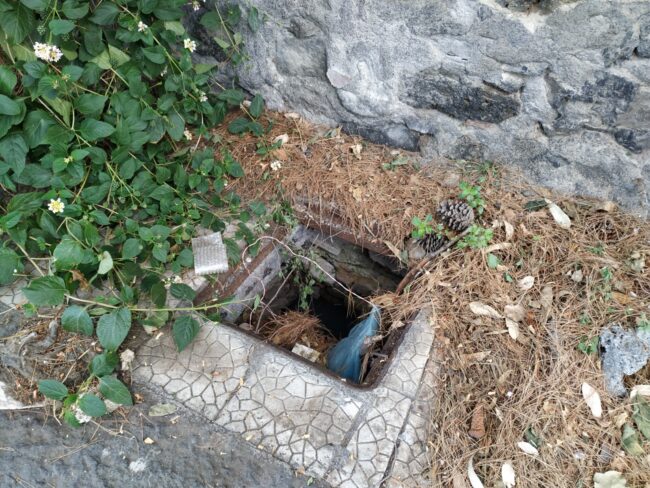 “Mettere in sicurezza i tombini di via Santa Sofia”: la denuncia del comitato Vulcania