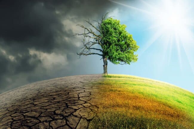 Siccità, acque “incandescenti” e temperature record: il 2022 è l’anno dei cambiamenti (e disastri) ambientali