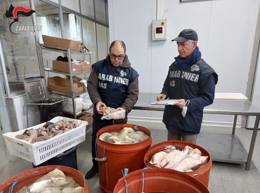 Sequestrata oltre una tonnellata di carne a Palermo, chiuso stabilimento