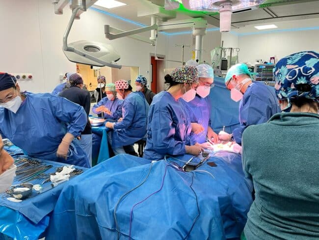 Policlinico-San Marco Catania, in tre giorni sei trapianti e prelievi di organi