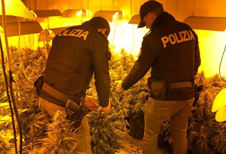 Scoperta coltivazione di marijuana indoor: sequestrate circa 200 piante