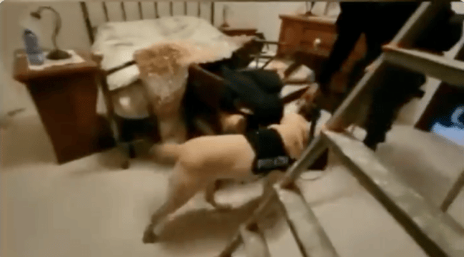 Mafia, blitz alla ‘Ndrangheta nel Vibonese: 56 arresti, coinvolti anche siciliani – VIDEO