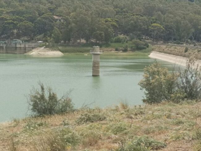 Acqua diga Trinità, agricoltori trapanesi a secco: Cia chiede intervento Prefetto