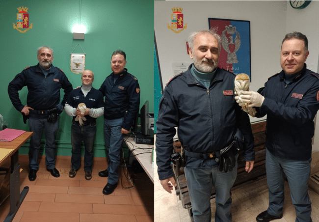 La Polizia salva un barbagianni ferito alla stazione di Catania