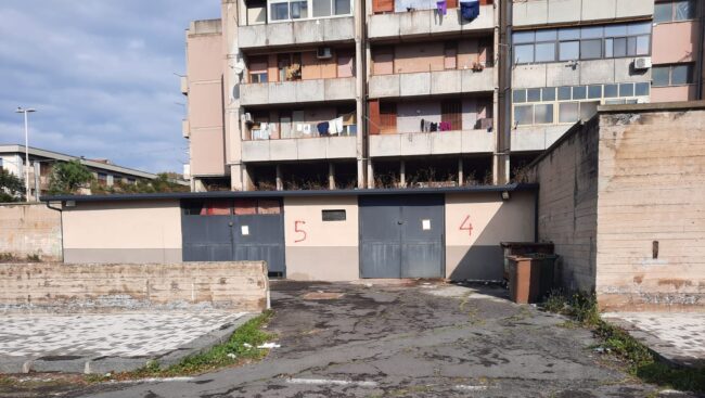 Quartiere Zia Lisa, sequestrate stalle abusive e tre cavalli: denunciati gli autori degli illeciti
