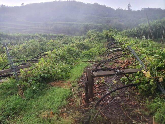 Maltempo in Sicilia, crolla un ponte travolto da un fiume: enormi i danni all’agricoltura