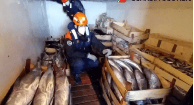 Maxi sequestro di tonno rosso pescato illegalmente nel Catanese