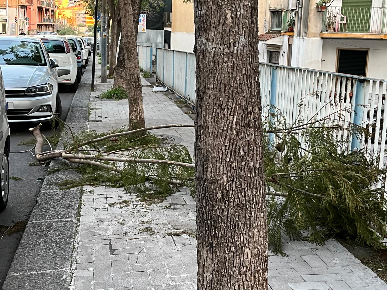 Catania, “marciapiedi impraticabili in via Pirandello”: la denuncia del Comitato Vulcania