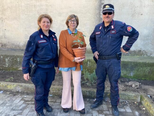Anche l’I.C. “Giuseppe Fava” di Mascalucia aderisce al progetto “Un albero per il futuro” – FOTO e VIDEO