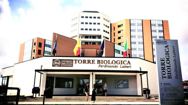 Lotta al fumo, nuovo meeting alla Torre Biologica di Catania: Unict all’avanguardia sulla ricerca