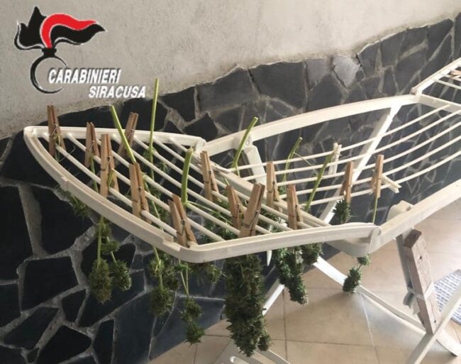 Marijuana in casa a costo zero, appesa ad asciugare sullo stendino: arrestato 35enne – VIDEO