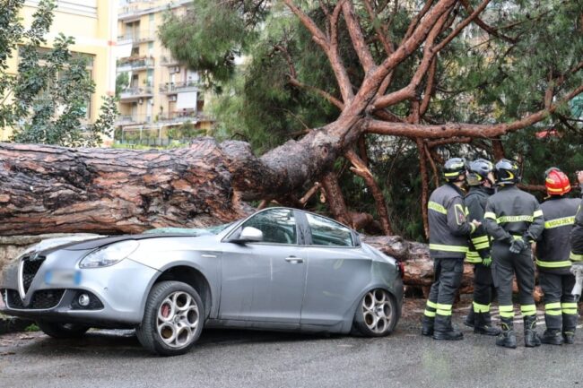 Grande albero cade su auto posteggiata, strada bloccata in entrambe le direzioni