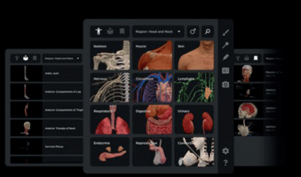 BODY MAP