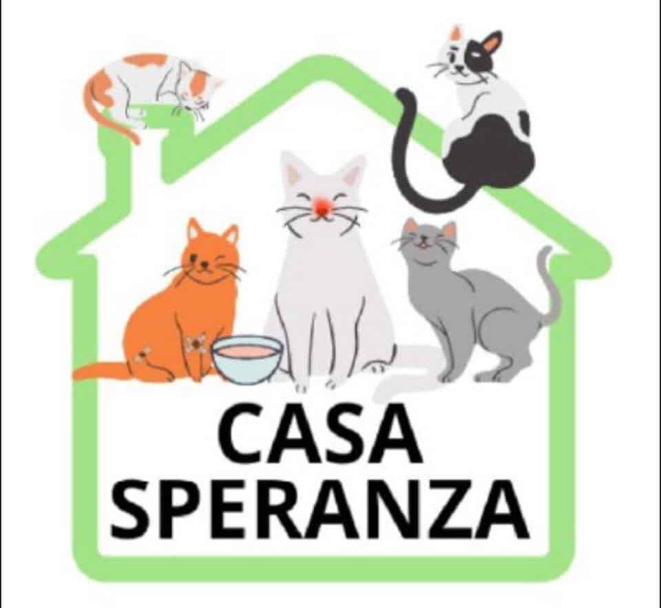 Catania, il rifugio di cani e gatti “Casa Speranza” chiede aiuto per curare gli animali