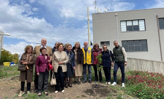“Rendere belle le scuole dove educare al bello”, l’I.C. “San Giorgio” ospita Club Lions Bellini: piantumazione e installazione di impianto idrico