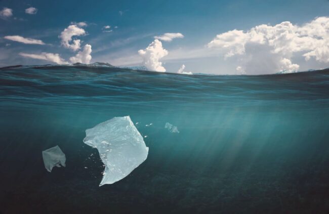 sea and plastic