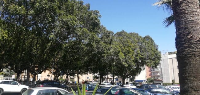 Piazza Lincoln, “maggiore tutela del verde e del decoro in generale”: la richiesta del presidente Ferrara