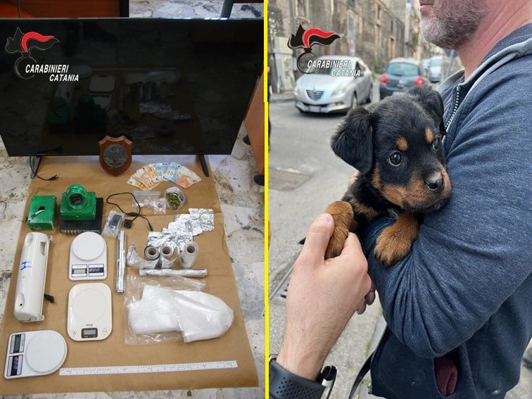 Smantellato “fortino della droga” a Catania, 5 arresti: in casa faceva la guardia il cane “Dante”