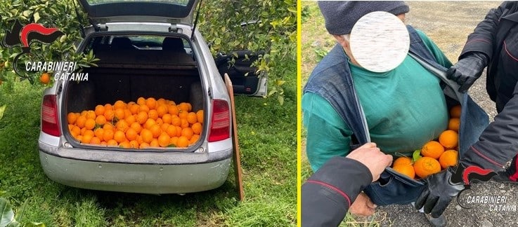Arrestati tre catanesi in trasferta per fare il “pieno” d’arance grazie a una telefonata