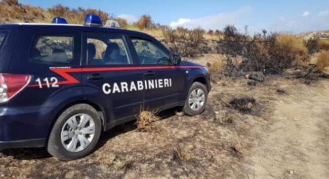 Intimidazione a Campobello di Licata, 36enne trova teschio di equino annodato a una recinzione