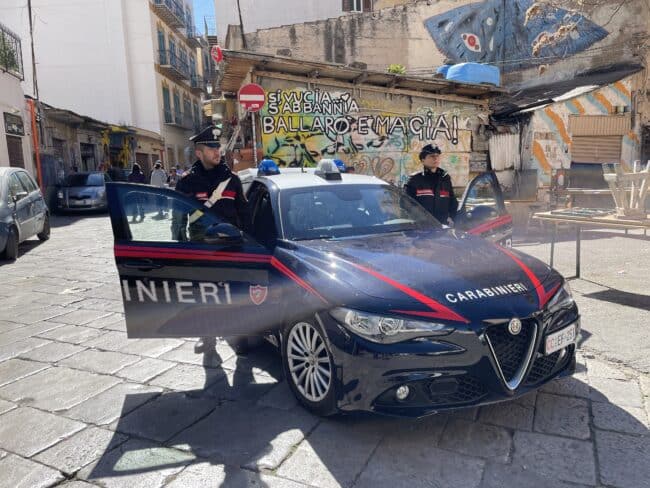Scoperta piantagione di cannabis fra i tetti di Ballarò