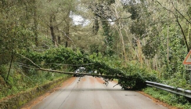 Maltempo, violenta tempesta nel Palermitano e neve sulle Madonie