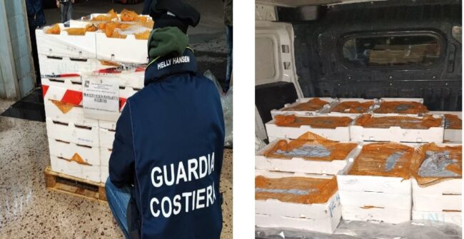 Messina, sequestrati 170 chili di “muccu”