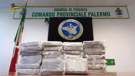 Operazione “Cagnolino”, così due fratelli palermitani gestivano il narcotraffico con la Calabria