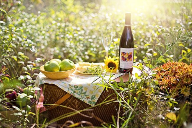 Guida per un picnic: i consigli per un momento perfetto