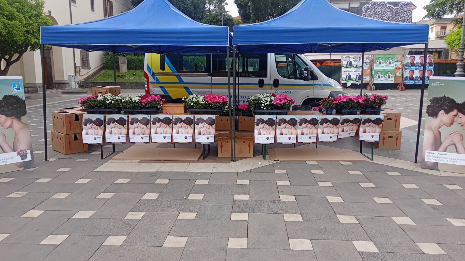 La Festa della Mamma in piazza con AIRC: vendita delle azalee per la ricerca – FOTO e VIDEO