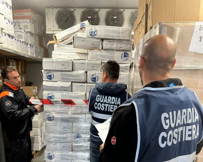 Sequestrate 2,5 tonnellate di polpo congelato e privo di tracciabilità commercializzato all’ingrosso