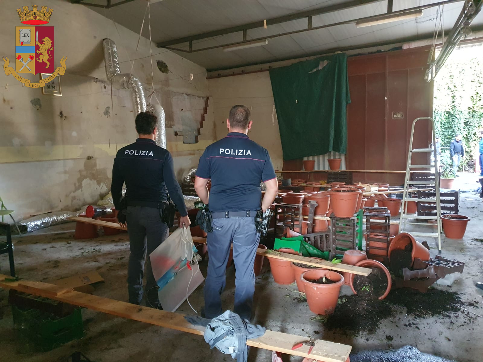 Catania, scoperta maxi coltivazione di droga in un garage – FOTO