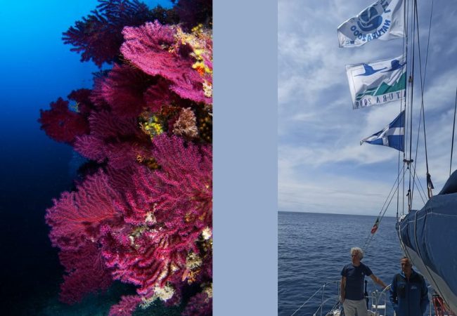 Life A-MAR NATURA2000 approda alle Isole Eolie