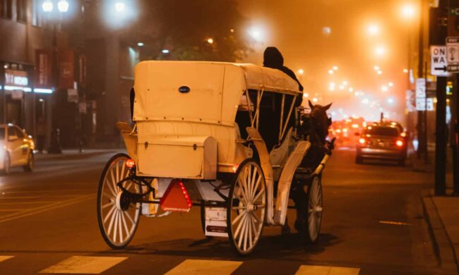 Cavallo imbizzarrito in via Roma, auto danneggiate e feriti: il caos di ieri a Palermo