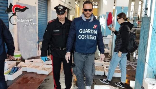 Vendeva pescato e crostacei abusivamente al mercato ittico di Riposto, 60enne denunciato