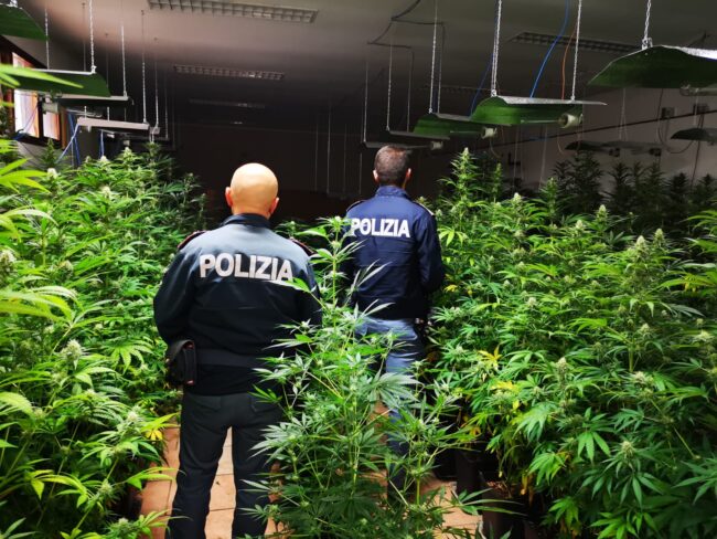 Palermo, in due locali di Brancaccio rinvenute due piantagioni di marijuana