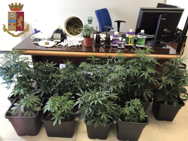 Serra di marijuana in casa: arrestati due cittadini mazaresi