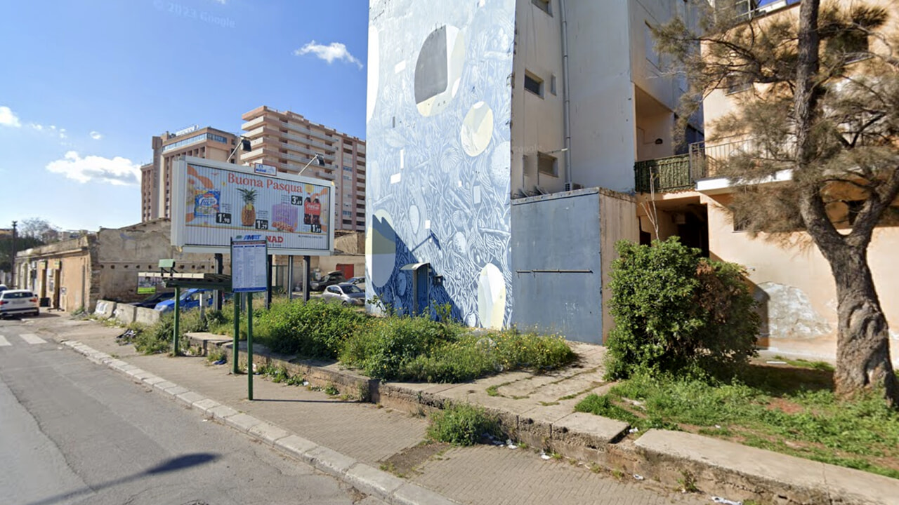 Palermo, scoperta piantagione di marijuana in un casolare dietro dormitorio comunale