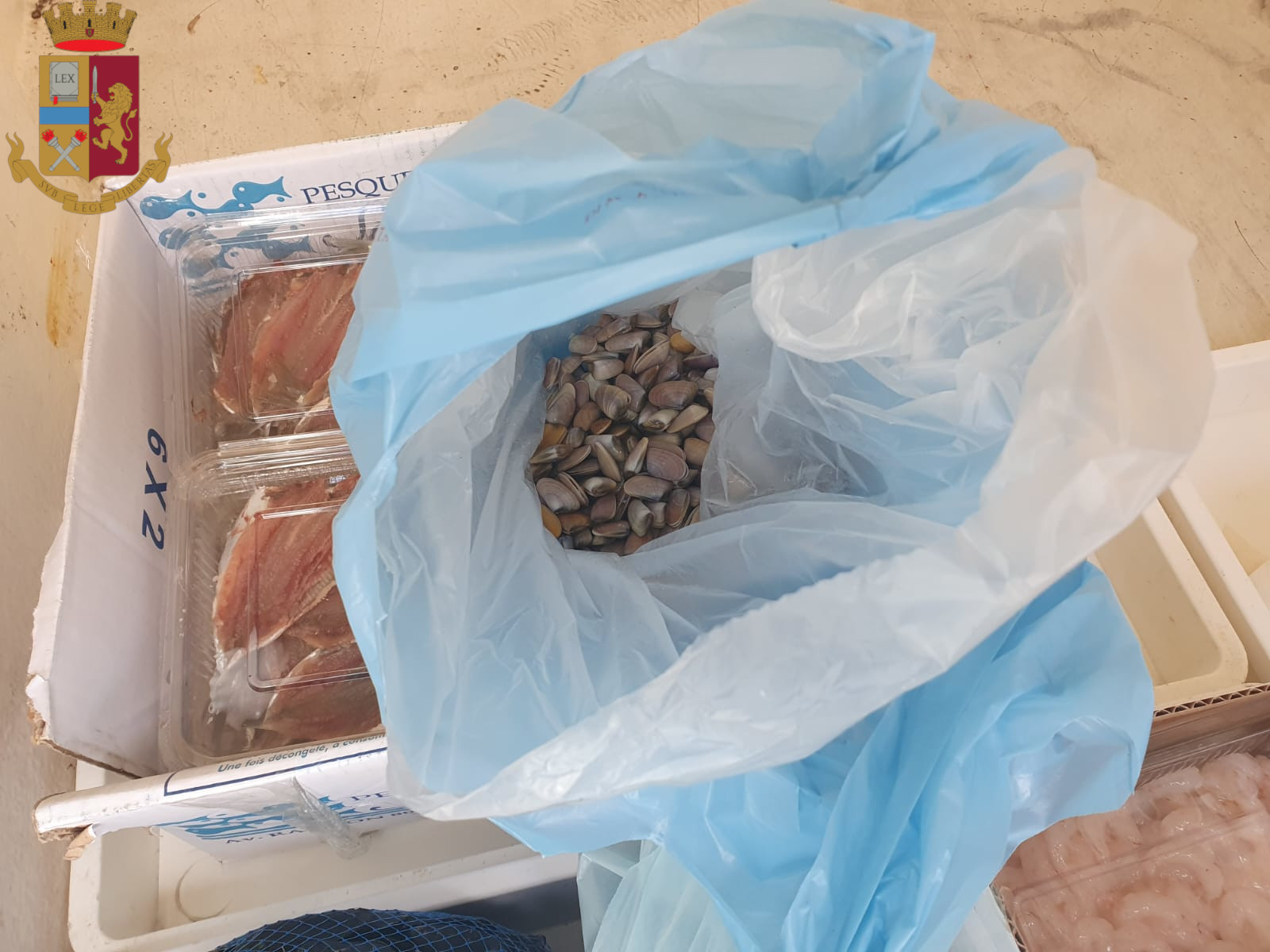 Catania, pesce e molluschi per ristoranti non idonei al consumo umano: sequestro di prodotti ittici