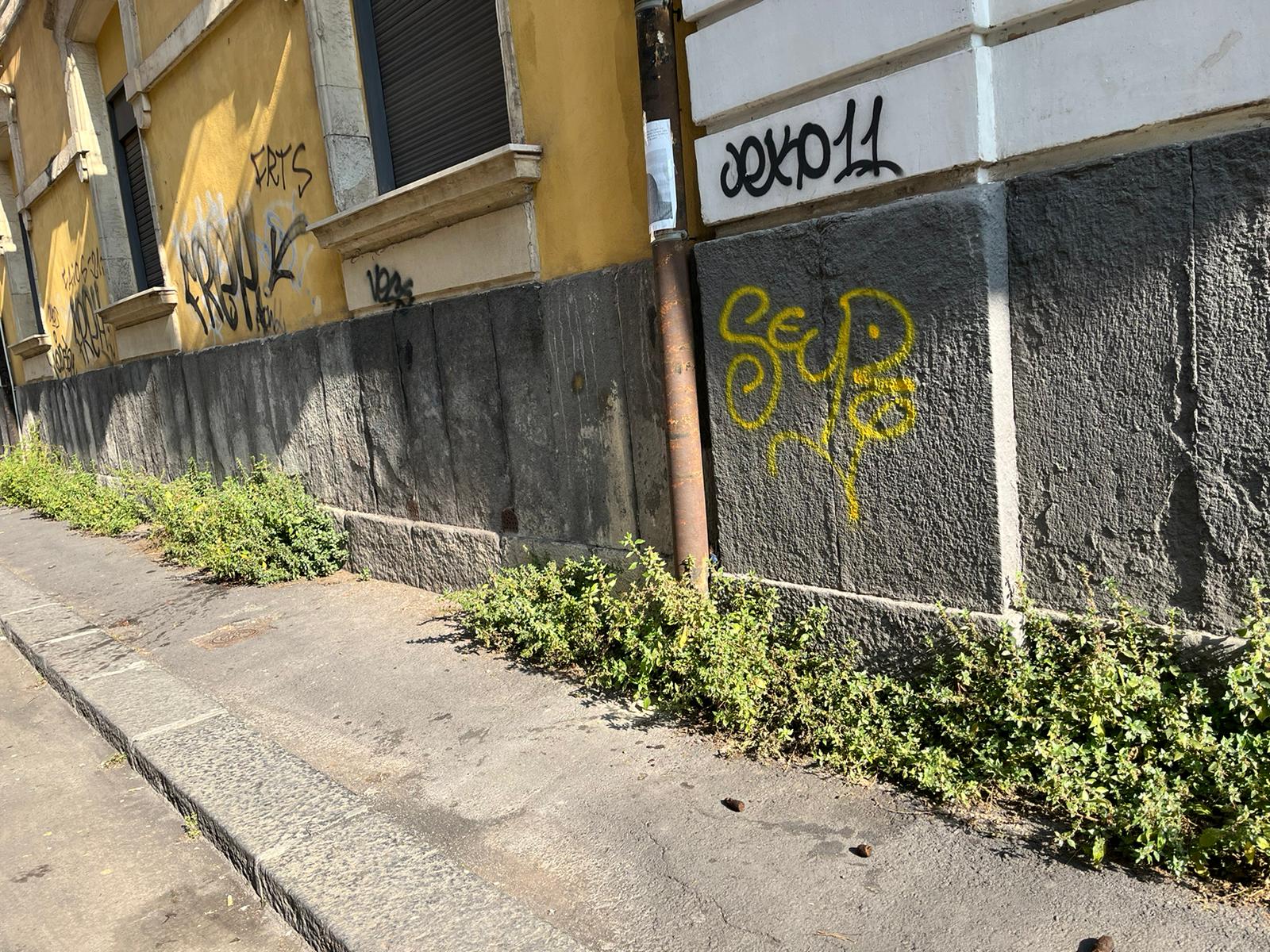 Marciapiedi invasi da erbacce e cespugli nel quartiere “Borgo-Sanzio”, l’appello del Comitato Vulcania
