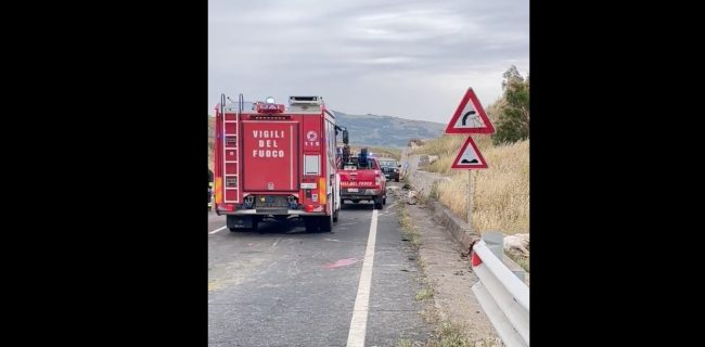 Incidente a Mazzarino, uomo travolge gregge di pecore: è grave, strage di ovini
