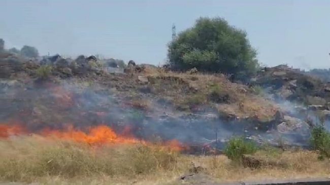 Sicilia, il “parco giochi” dei piromani: Caruso e Arcoria (Confagricoltura Catania) non ci stanno