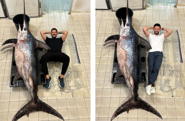 Raro esemplare di pesce spada da 200 kg, lo stupore dello chef Micieli a Punta Secca